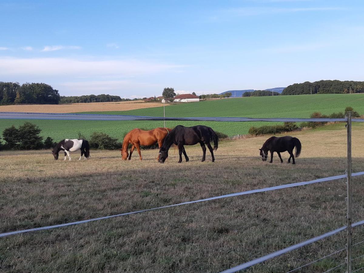 Gites Domaine De La Rochere Domsure Buitenkant foto