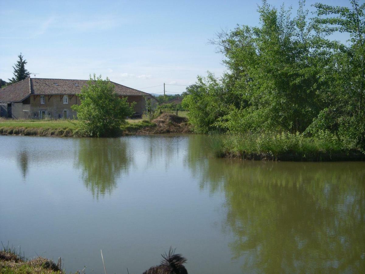 Gites Domaine De La Rochere Domsure Buitenkant foto